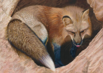 "Lookin' Good," 12"x16", oil on fine linen stretched canvas.