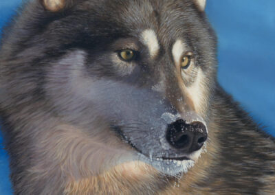 "The Frost Queen," 18"x 24", oil on fine linen stretched canvas.